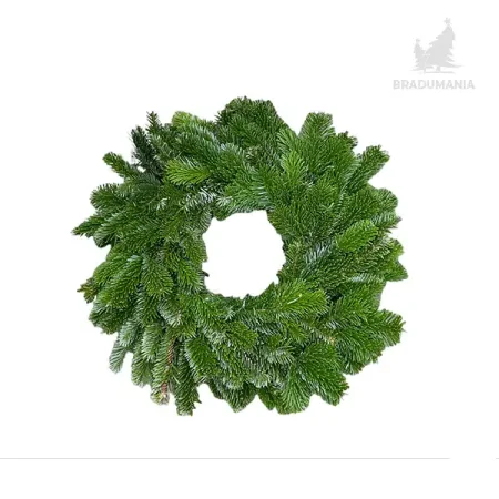 Coronita brad Nordman, culoare verde, 45-50cm